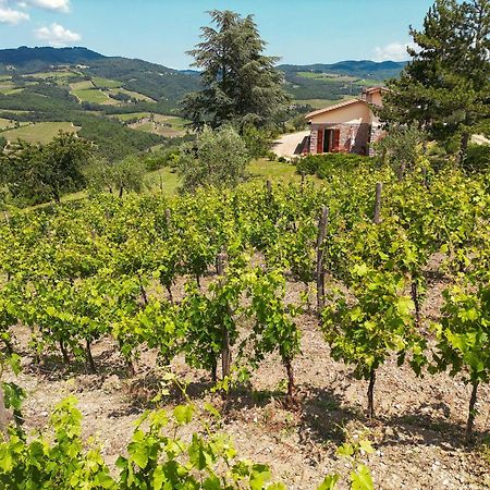 Tenuta Il Poggetto Radda in Chianti Eksteriør bilde
