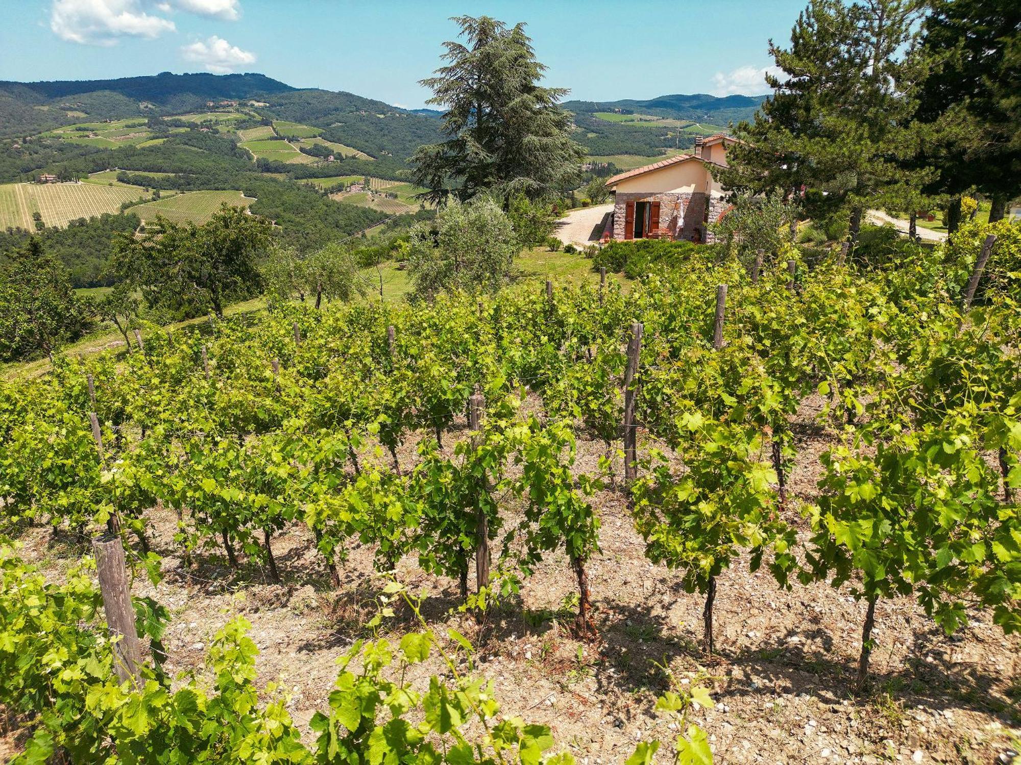 Tenuta Il Poggetto Radda in Chianti Eksteriør bilde
