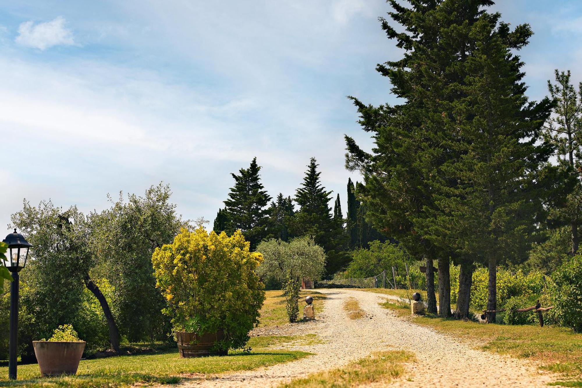 Tenuta Il Poggetto Radda in Chianti Eksteriør bilde
